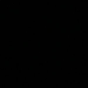 Meet your Posher, Malik